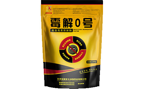 動保01.jpg