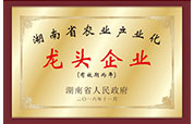 龍頭企業.jpg